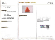 8.37/CT Natural Triangular Red Coral-2500